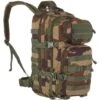 Mil-Tec MOLLE US Assault Pack Small CCE -Mil-Tec Shop MIL TEC MOLLE US ASSAULT PACK SMALL CCE 01